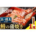 ふるさと納税 国内産 鰻の蒲焼き 徳島県産 うなぎの蒲焼き 1尾 タレ・山椒付《30日以内に出荷予定(土日祝除く)》うなぎの蒲焼き うなぎ 鰻 .. 徳島県佐那河内村
