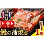 ふるさと納税 国内産 鰻の蒲焼き 徳島県産 うなぎの蒲焼き 1尾 タレ・山椒付《土用の丑の日予約(7/15〜7/26)》うなぎの蒲焼き うなぎ 鰻 蒲.. 徳島県佐那河内村