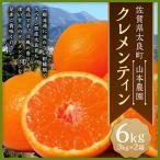 山本農園のクレメンティン 6kg