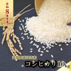 玄米 10kg