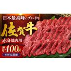 牛肉 焼肉 バーベキュー 全6回定期便 佐賀牛