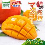 訳あり 完熟マンゴー 2L×2玉