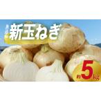 新たまねぎ 約5kg