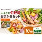 季節の旬野菜 おまかせセット 6種