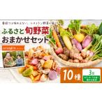 季節の旬野菜 おまかせ10種セット 野菜