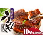 三河一色産うなぎ蒲焼 10尾