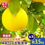 まる庄果樹園 楠瀬さんの土佐文旦 大玉 約3.5kg