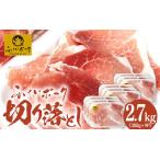 旨い ふくいポーク 切り落とし2.7kg 300g×9
