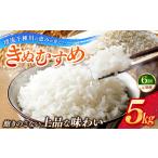 令和8年産 からのお米 きぬむすめ5kg×6回
