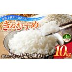 令和8年産 からのお米 きぬむすめ10kg×3回
