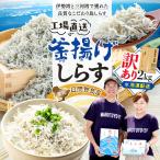 訳あり 釜揚げしらす 2kg