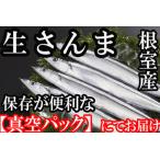 ふるさと納税 【北海道根室産】さ