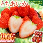 とちあいか 合計1 000g