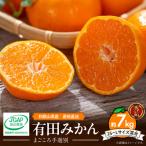 有田みかん 約7kg
