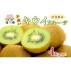 ふるさと納税 渋谷農園 キウイフルーツ（グリーン）不揃い 4kg以上 キウイ グリーン グリーンキウイ フルーツ 栄養 ビタミンC 食物繊維 酵素 カ.. 埼玉県蓮田市