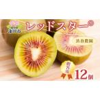 キウイフルーツレッドスター渋谷農園 用キウイフルーツ
