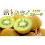 ふるさと納税 渋谷農園 キウイフルーツ(グリーン) 不揃い 1kg以上 訳あり キウイ グリーンキウイ フルーツ 栄養 ビタミンC 食物繊維 酵素 カリウ.. 埼玉県蓮田市