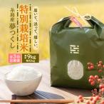 米 全3回定期便 とくべつの中のとくべつ