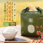 米 全6回定期便 とくべつの中のとくべつ