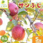 りんご サンふじ 5kg