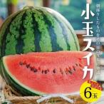 fu.... налог SA2886 Yamagata префектура производство маленький шар арбуз .. Izumi [ Lupin ] 7kg и больше (6 шар входить ) утро .. сельское хозяйство дом прямая поставка Yamagata префектура sake рисовое поле город 