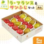 長もちりんご 雪国 サンふじ 5kg