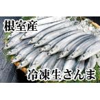 ふるさと納税 【北海道根室産】さ