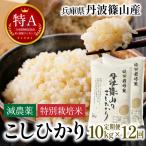 玄米 コシヒカリ 特A 丹波篠山産 10kg