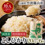 玄米 コシヒカリ 特A 丹波篠山産 20kg