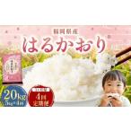 はるかおり 5kg
