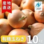 fu.... налог шар лук порей 10kg / шар лук порей Fukushima префектура 2 шт.@ сосна город 