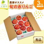 りんご 農家オススメ 旬の赤りんご 3kg