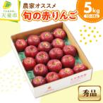 りんご 農家オススメ 旬の赤りんご 5kg