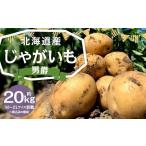 じゃがいも 男爵 M~2Lサイズ混載 約20kg