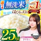 令和7年産 くまさんの輝き 白米 25kg