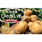 じゃがいも キタアカリ 約10kg