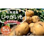 じゃがいも キタアカリ 約5kg