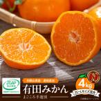 有田みかん 約4kg