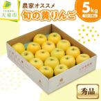 農家 旬の黄 りんご 5kg