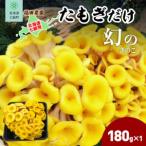 たもぎだけ 180g×1