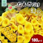 たもぎだけ 180g×3