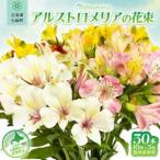 アルストロメリアの花束 30本