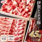 豚肉 農水大臣賞受賞 伊賀とよさ豚 年6回お届け
