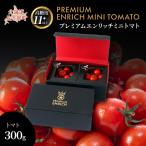 PREMIUM ENRICH MINI TOMATO 300g