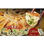 にら農家 ぎょうざ 肉 小分け 惣菜 30個