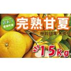 訳あり 木成り 完熟 甘夏 15kg