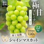 樹上完熟 シャインマスカット 特別栽培 1.2kg