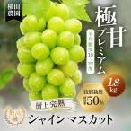 樹上完熟 シャインマスカット 特別栽培 1.8kg