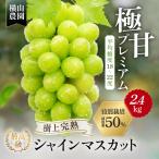 樹上完熟 シャインマスカット 特別栽培 2.4kg