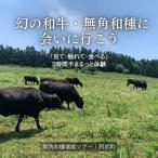 無角和種堪能ツアー 2名様分 見て 触れて